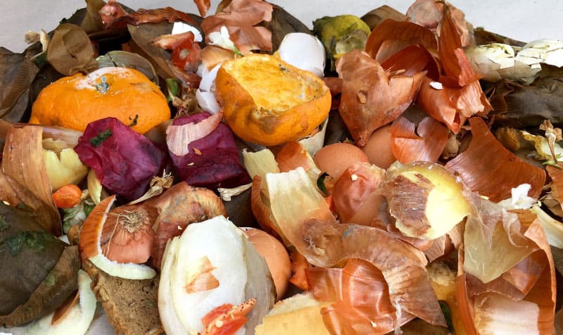 product destruction of expired food items